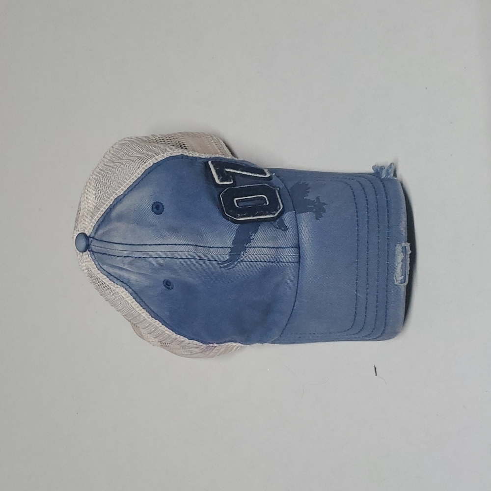 American Eagle Outfitters Blue and White Mesh Cap